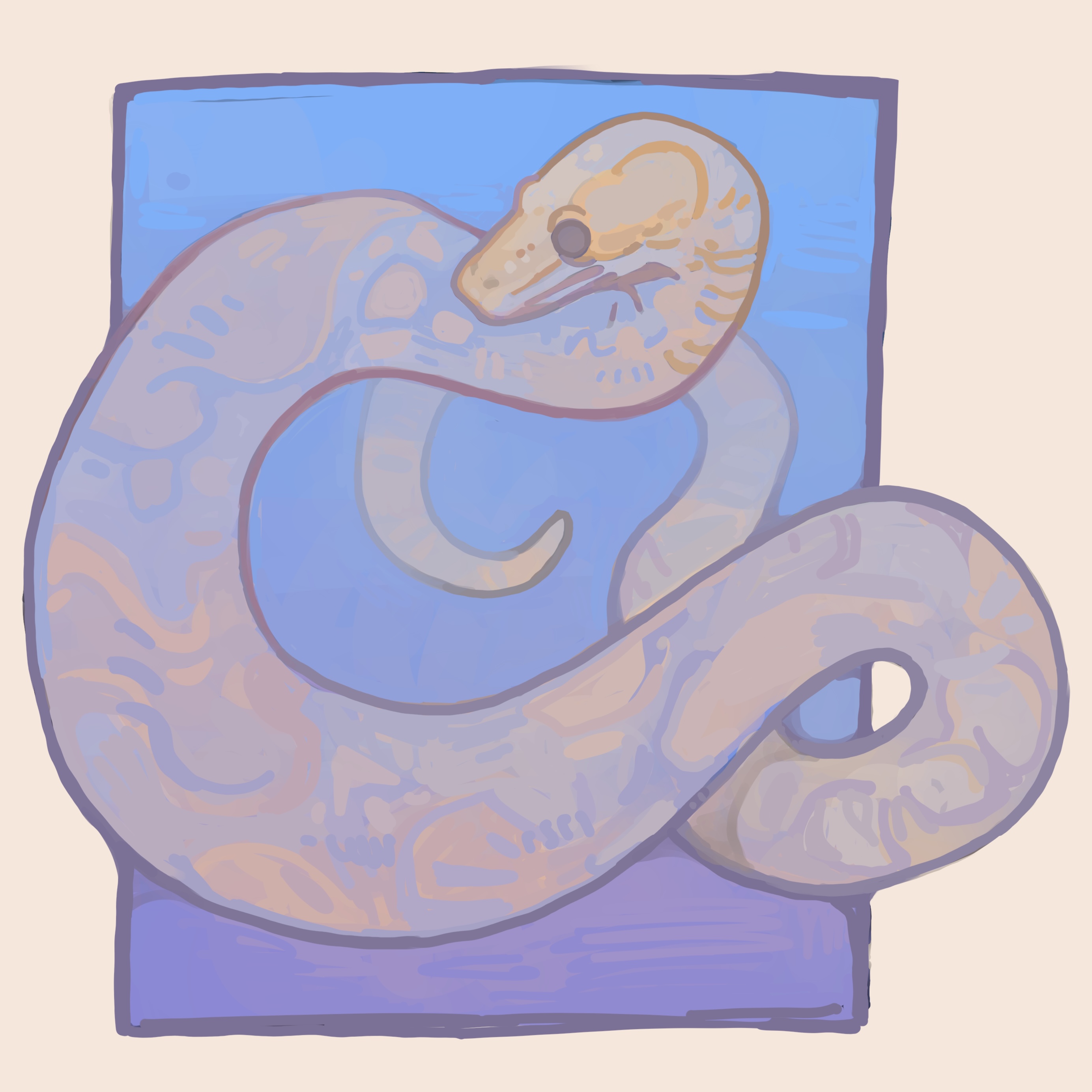 snake study.JPEG